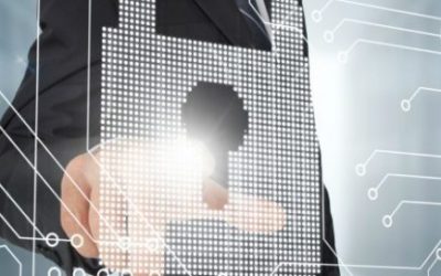 Tips for Safeguarding Business Data